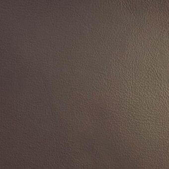 Brown leather upholstery swatch displaying a smooth, granular texture with tonal variations and a matte finish, highlighting natural grain.